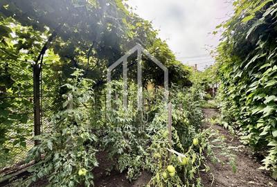 Casa individuala, 505mp teren, pivnita, acces auto, zona Centrala - 12