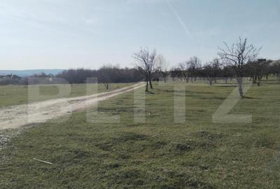 Teren intravilan cu suprafa?a de 9ha, Aninoasa - 9