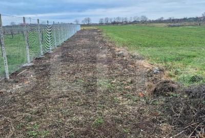 Teren de 1500 mp, în Odoreu - 2