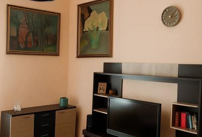 Apartament cu 2 camere nedecomandat în Horea - 5
