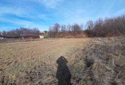 Teren de 5000 mp, în Crăcăoani - 1