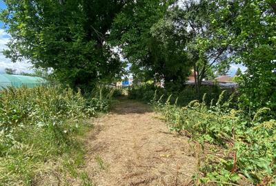 Teren 2133 m² cu utilitati si iesire la drum asfaltat – Clinceni - 17