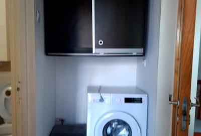 Apartament cu 2 camere semidecomandat, mobilat în Craiovei - 14