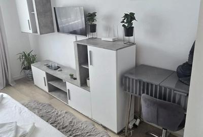 Garsonieră nedecomandată în Buziașului - 3