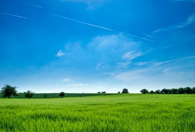 Land rent  in Timisioara - approval 10.07.2025