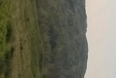 Teren de 3600 mp, în Aluniș - 6