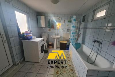 Casa Brailita sup 577 mp ,mobilata complet - 2