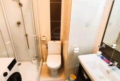 Apartament de vânzare, 1 cameră, 29 mp, etaj 1/2 Piața Mihai Viteazul Apartament de vânzare, 1 cameră, 29 mp, etaj 1/2 Piața Mihai Viteazul - 5