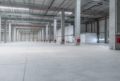 Depozit Hala Autorizata ISU 600 mp -15000 mp Depozit Hala Autorizata ISU 600 mp -15000 mp - 7