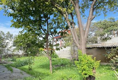 TEREN CENTRAL | 605 MP | DESCHIDERE 17 - 4