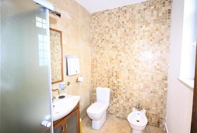 Casă individuală cu 6 camere cu Canalizare în Parcul Carol - 10