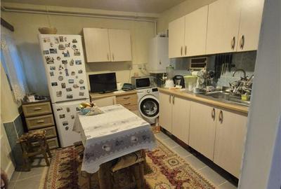 Oportunitate investitie, 4 apartamente la casa, Noua - 3