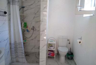 Casa de vanzare recent renovata strada Stefan Octavian Iosif - 9