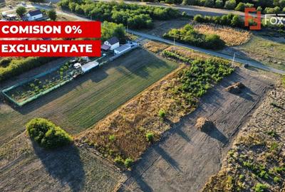 Teren Construcții intravilan de 2779 mp, în Parța - 10