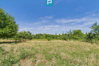 Teren 4919 mp- Comuna Călacea - 2