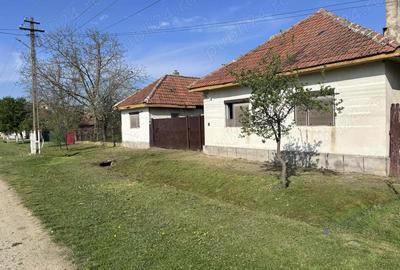 Vand casa 3 camere plus anexa - 6