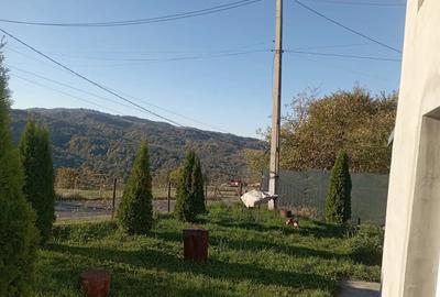 Casa de Vanzare - 6
