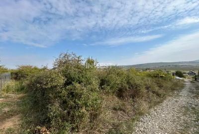 Teren de 500 mp, în Lunca Cetățuii - 4