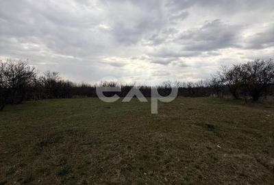 Teren de 3052 mp, în Drăganu - 2