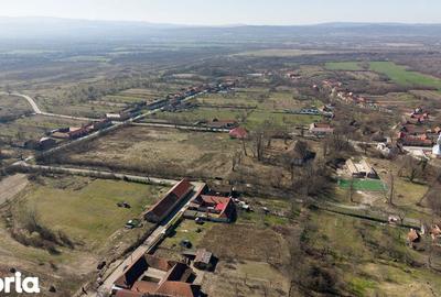 Casă cu 8 camere cu Teren 7235 Mp în Traian Vuia - 5