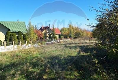Teren intravilan 1,450mp Ilisesti / DN 17-Suceava - 14