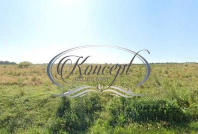 Teren intravilan in Salicea Teren intravilan in Salicea - 3