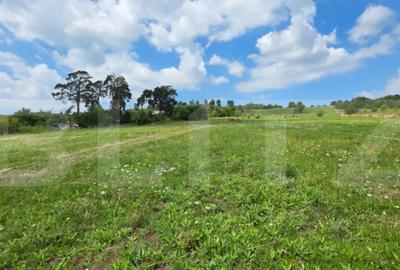 Teren de 10000 mp, în Cetății - 2