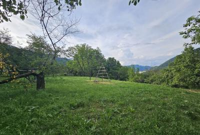 TEREN DE VANZARE SECIURI - 13