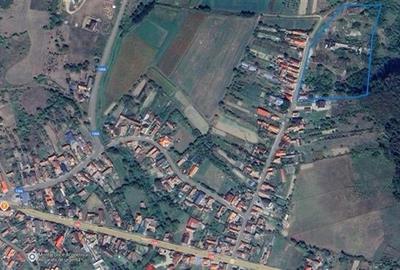 Domeniu de 13.500 mp:potential investitie fabrica de caramida,Viforoasa,Mures