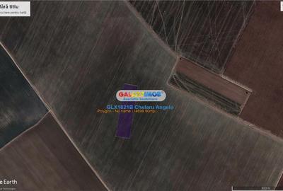 Teren intravilan de 14700 mp, în Copăceni - 3