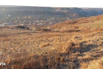 Teren de 60000 mp, în Ștefănești