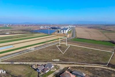 Teren de 14300 mp, în Medieșu Aurit - 7