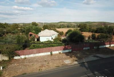 Casa de vanzare plus 2500 m patrati teren in Melinesti,Dolj - 1