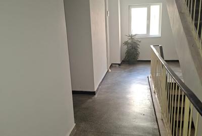 Apartament cu 2 camere semidecomandat în Teiul Doamnei - 19