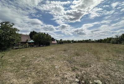 TEREN INTRAVILAN 1226 MP | ZONA CHISIRID - 3