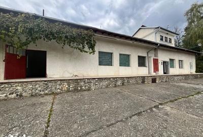Spațiu comercial, de 1,388 mp, în Ciocănești - 11