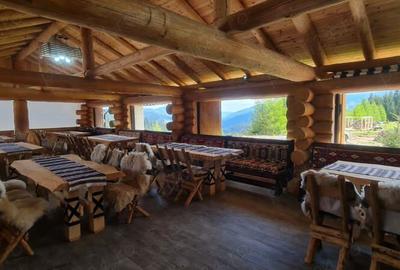 Casă în Valea Putnei - 5