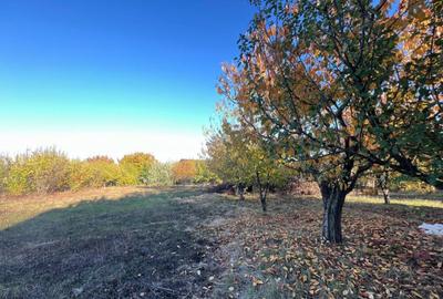 Teren constructie 800mp Rediu Horlesti - 1