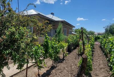 Casă cu 4 camere în Chirnogi - 4