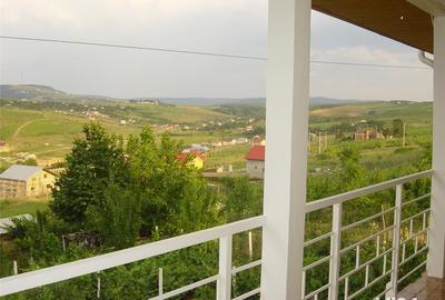 Casă cu 5 camere cu Teren 2000 Mp în Vișani - 6