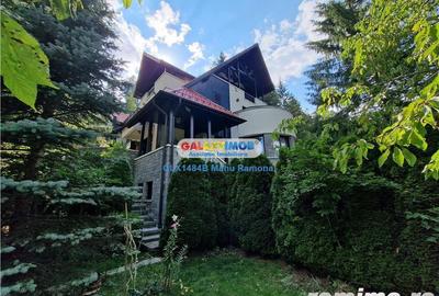 Vila superba, 9 dormitoare, pretabila pentru pensiune, Sinaia - 9