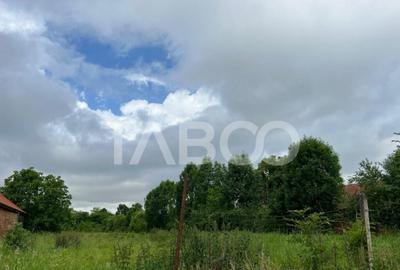 Teren intravilan 2740 mp utilitati in zona Gura Vaii Judetul - 2