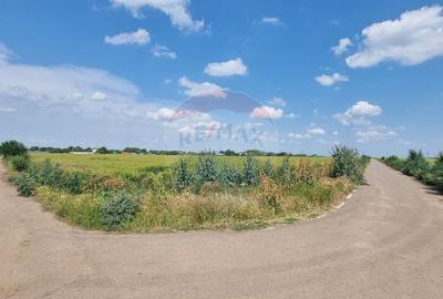 Teren intravilan - 17.500 mp - Gostilele Fundulea - 4