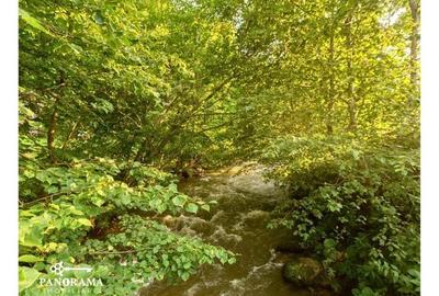 Afacere turistică ,,La Cheie" în inima Mărginimii Sibiului - 49