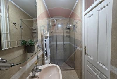 Inchiriere casa cu terasa si curte zona Piata Mica Spitalul Judetean - 18