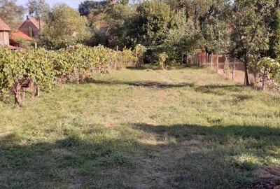 Casă în Central - 3