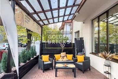 Cotroceni | Pretabila Clinica - Spa | Vila eleganta  | Terasa - 19