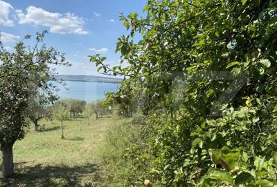 Teren de 3800 mp, în Recea - 3