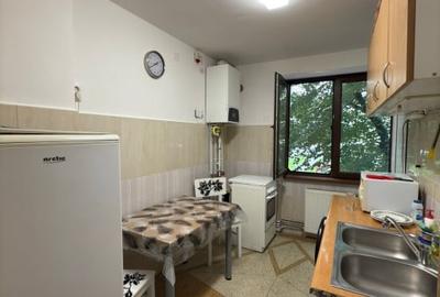 Apartament 2 Camere - Etaj 1 - Terezian Sibiu Apartament 2 Camere - Etaj 1 - Terezian Sibiu - 8