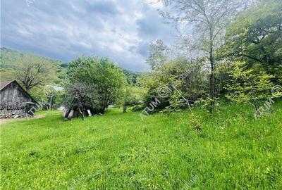 Teren intravilat de 1811 mp situat in Sibiel judetul Sibiu - 11